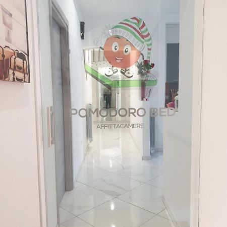 Pomodoro Bed Bed & Breakfast Castrovillari Luaran gambar